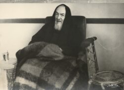 Padre Pio 24.