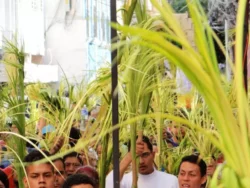 O que fazer com os ramos abencoados no Domingo de Ramos 3 768x576 1