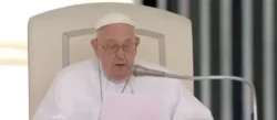 Papa francisco audiencia 768x335 2