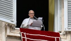 Il Papa all'Angelus: "Non lasciamoci vincere dalla paura" 1 papa angelus 768x447 1