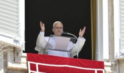 Leone XIV all'Angelus : riscopriamo il volto di Cristo 1 Angelus vatican media 700x413 1